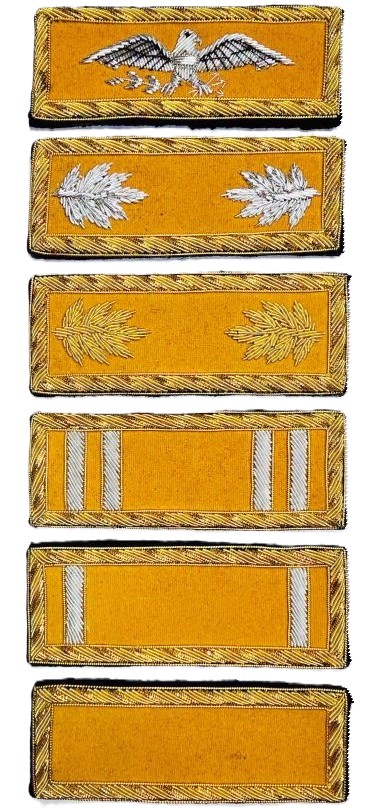 IW_1887Cavalry_shoulderboards