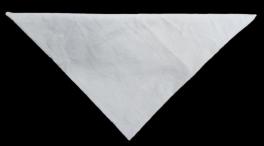 Bandana_muslin